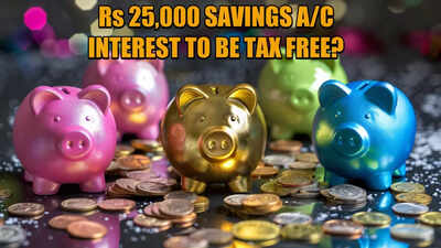 Income Tax expectations Budget 2024: Tax exempt limit for savings 