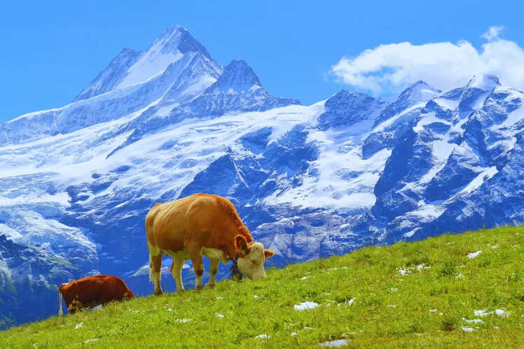 Switzerland