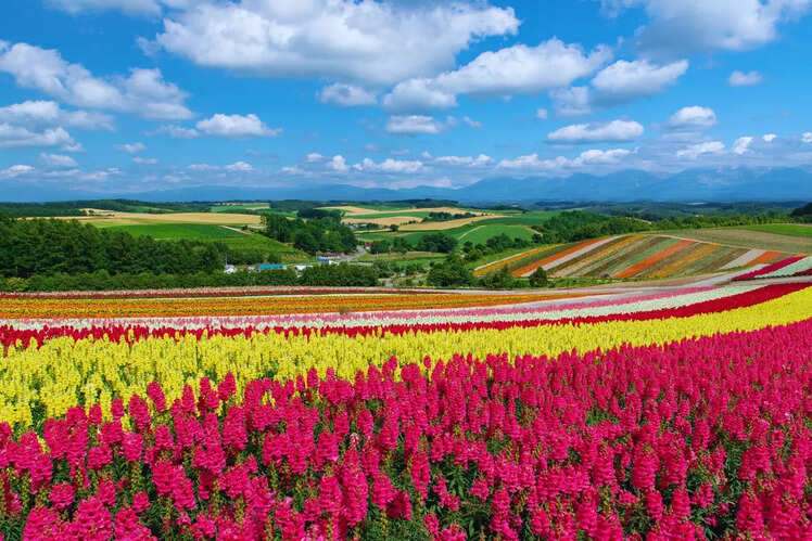 Japan