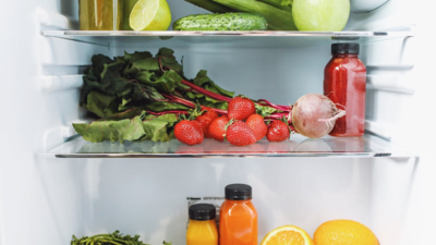 Best Refrigerators Under 10000: Affordable & Compact Options For You