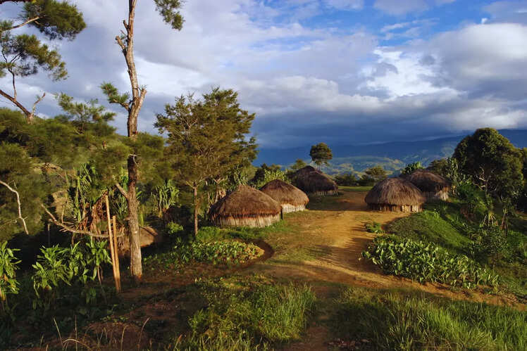Papua New Guinea