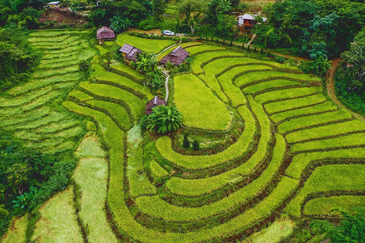 Chiang Mai, Thailand