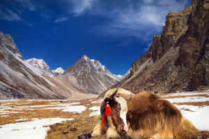 Bhutan: Snowman Trek, the world&rsquo;s toughest trail