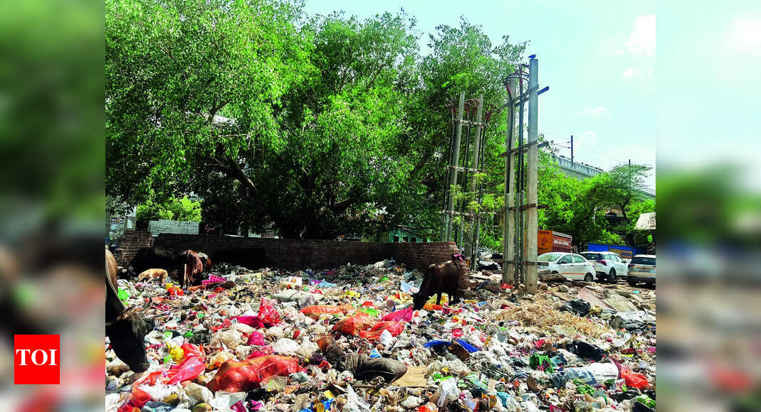 garbage issue in gurgaon