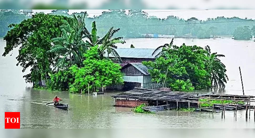 Assam Floods Death Toll Rises To 58 29 Districts Still Submerged Guwahati News Times Of India 6195