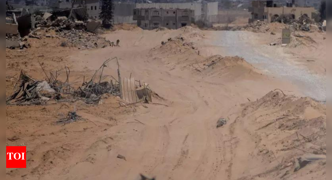 ‘Bulldozed and shelled’: Gaza’s farming sector ravaged by war