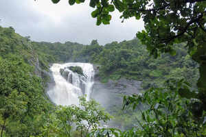 Kodagu: A monsoon paradise in Karnataka