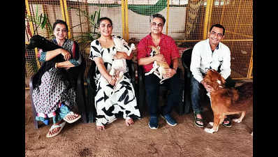 Strays can now have a comfortable stay at this Madh Island centre in Mumbai's Malad West