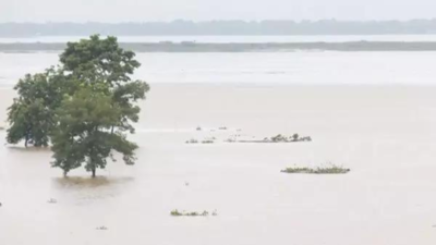 8 more people die as flood situation remains grim in Assam