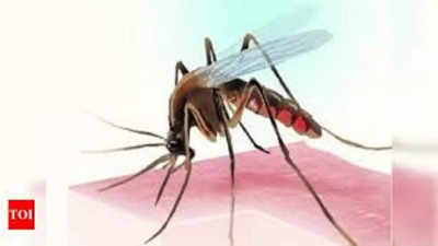 Karnataka records two dengue deaths in a day