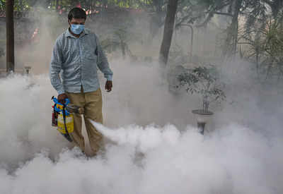 Bengaluru on alert as dengue cases rise; public advised to take precautions