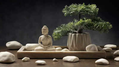 Feng Shui: 6 Feng Shui items you should keep in your house for prosperity and happiness | - The Times of India