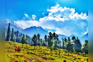 Kashmir in monsoon: A photographer's paradise