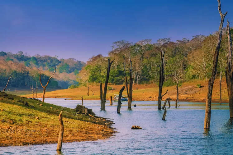 Periyar National Park, Kerala