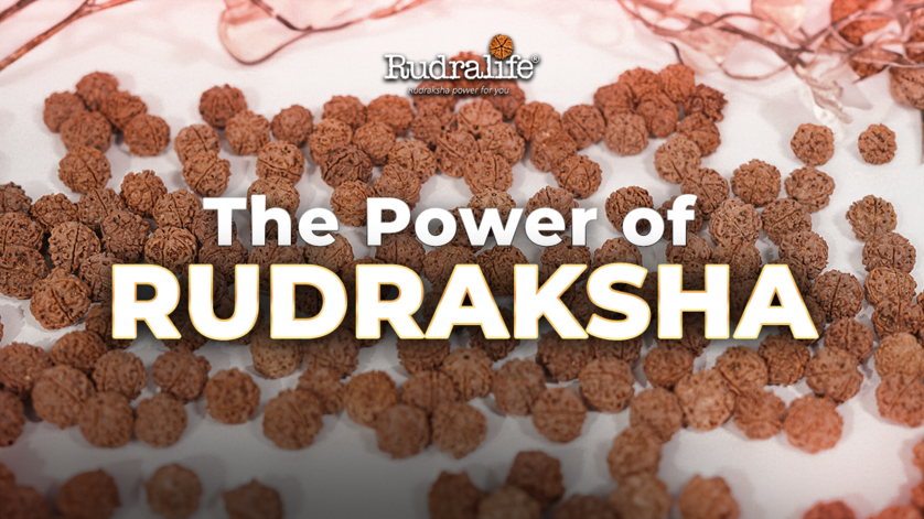 The power of Rudraksha: 7 eye-opening facts you must know