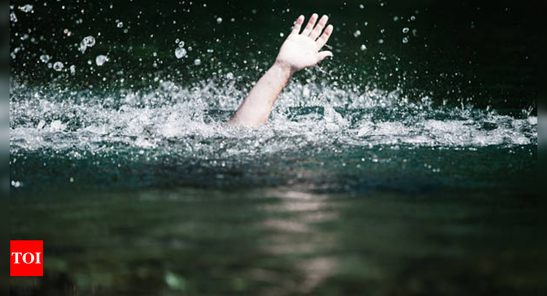 Indian student from Telangana dies after drowning at US Barberville Falls - The Times of India