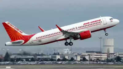 Passenger slams Air India for missing luggage. Here is airline's response