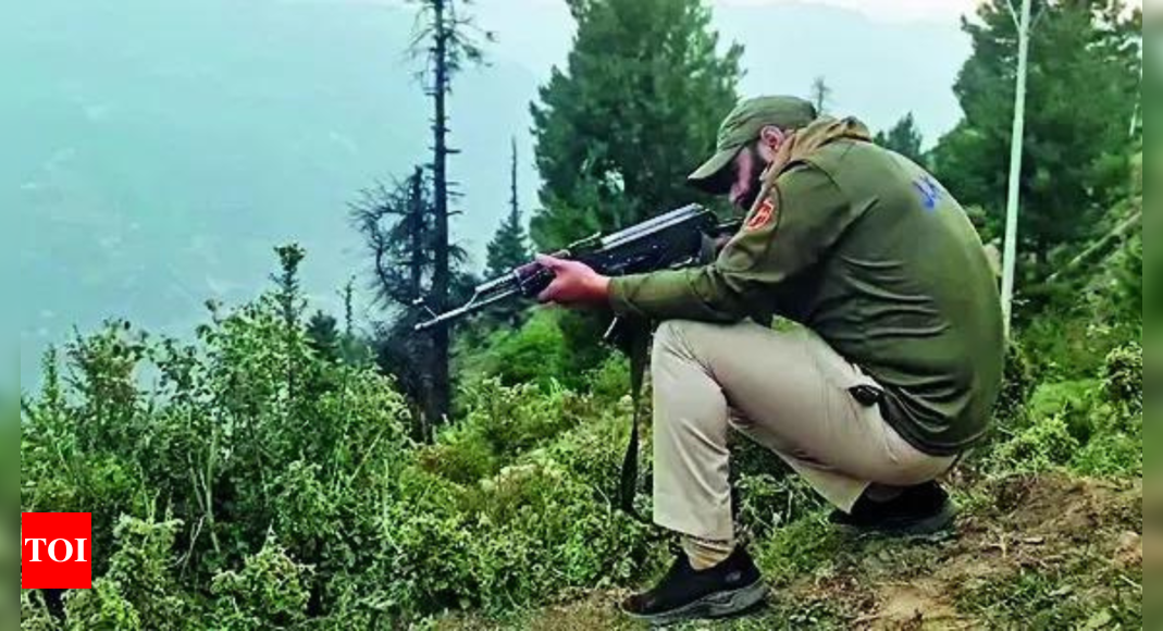 J&K terror attacks: Elite unit of Army deployed in state for surgical strikes - The Times of India