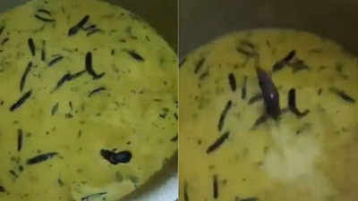 Viral video: Rat found swimming in university mess chutney in Hyderabad