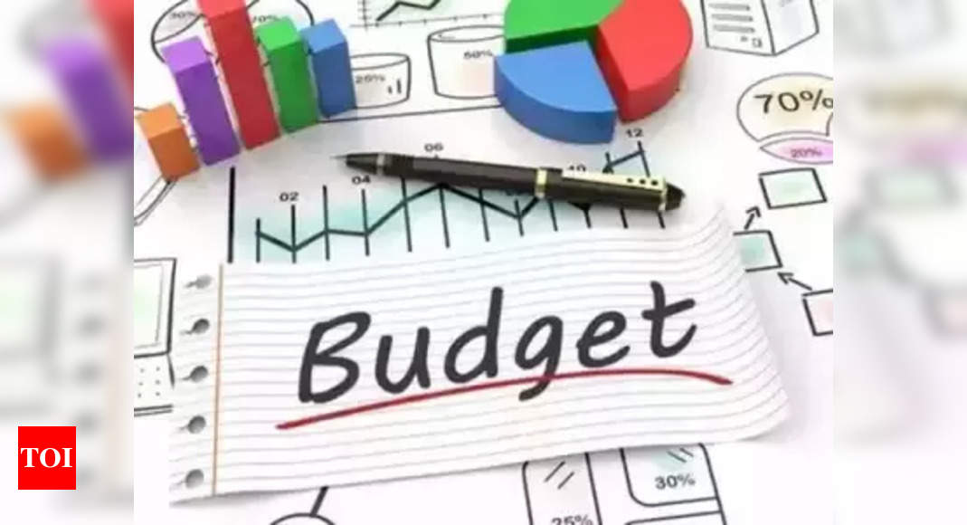Rajasthan state budget 2024: Key details | Jaipur News – Times of India