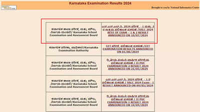 Karnataka SSLC Exam 2 Results 2024 Out at karresults.nic.in: Direct Link
