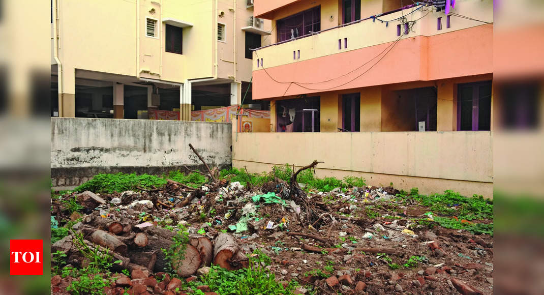 Dengue Dengue Fear Hdmc To Clean Vacant Plots And Charge Owners Hubballi News Times Of India