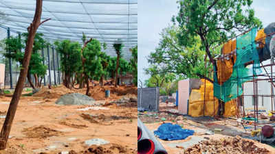 Trichy bird park to open on August 15