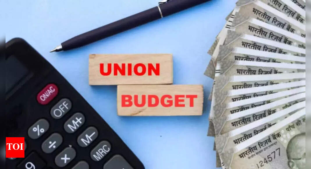 Budget 2024: Repercussions of delayed payments to micro & small entities – amendments are much needed – Times of India