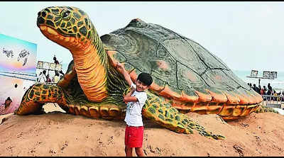 Ridley art on Puri beach a big draw