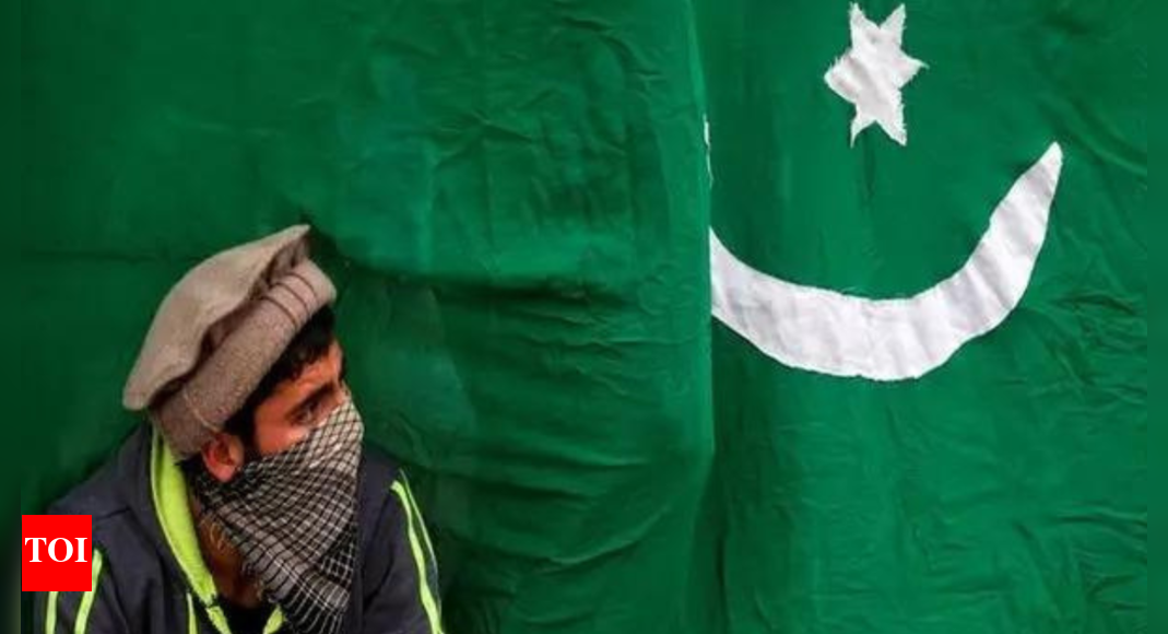 Pakistan grapples with flour paucity amid millers' strike - Times of India