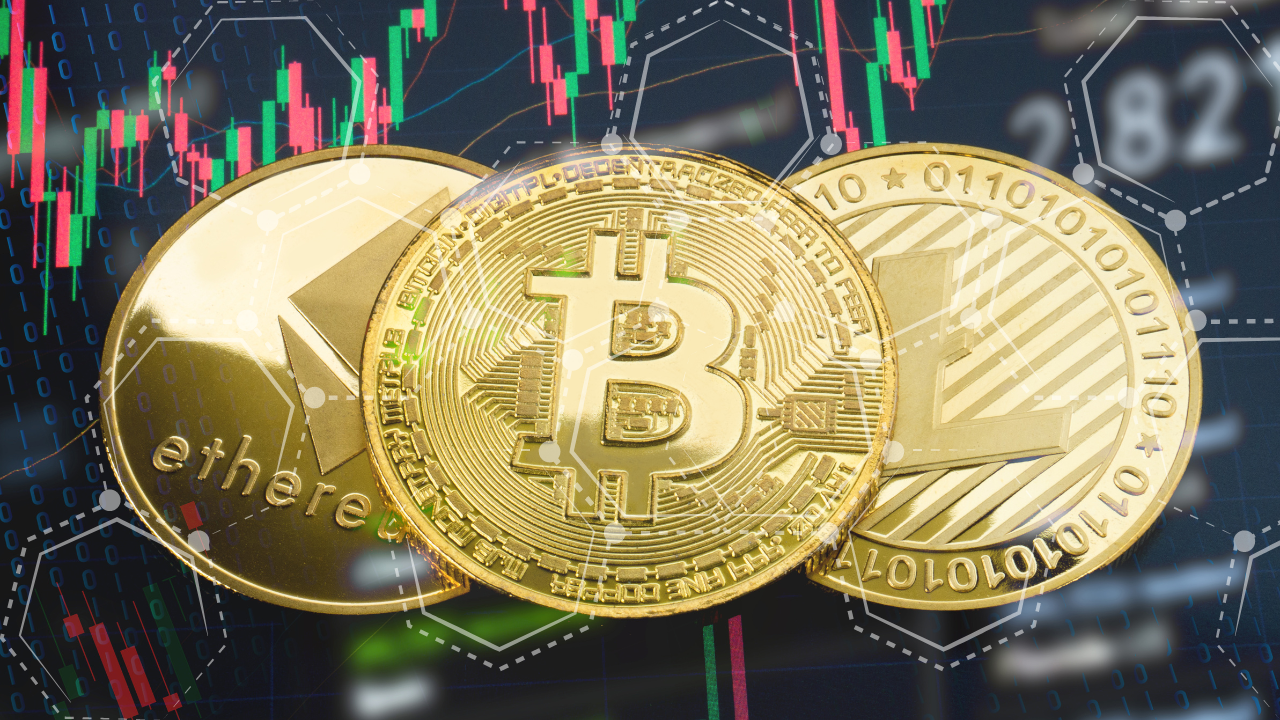 These are the best new crypto presales to invest in now – Pepe Unchained,  PlayDoge, and Shiba Shootout. | Business - Times of India