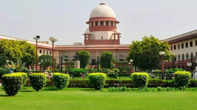 Should’ve been told on first day LG gave order to cut trees: SC on tree felling in ridge | Delhi News – Times of India