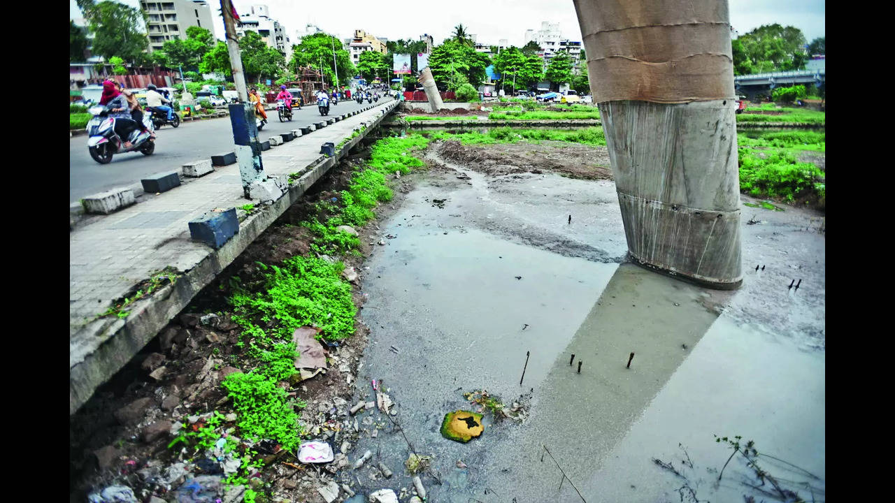 Infra projects under civic watch to prevent breeding of mosquitoes – Times of India