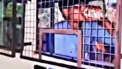 Viral video: Murder accused drinks beer in police van in Gujarat ...