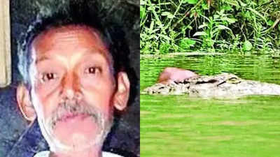 Man attacked by crocodile twice in same river in Gujarat