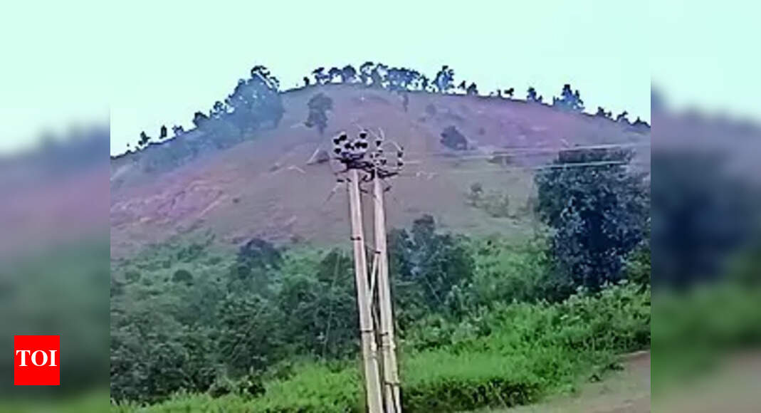 Forest Protection Committee: Sundargarh villagers transform denuded ...