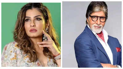 'To manage confrontational scenes with him, you need a lot of courage' -- Raveena Tandon on working with Amitabh Bachchan in Aks