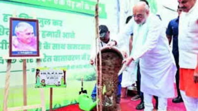 Tree plantation drive is apt response to climate change: Shah