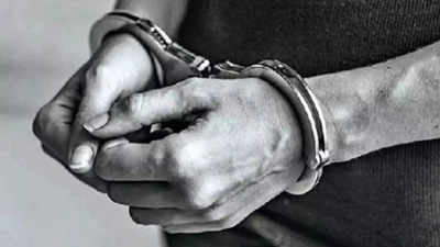 Three held for thrashing seers in Meerut