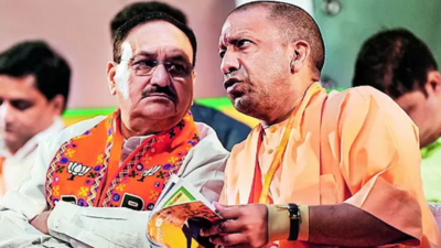 BJP's over-confidence caused harm in elections, says UP CM Yogi Adityanath