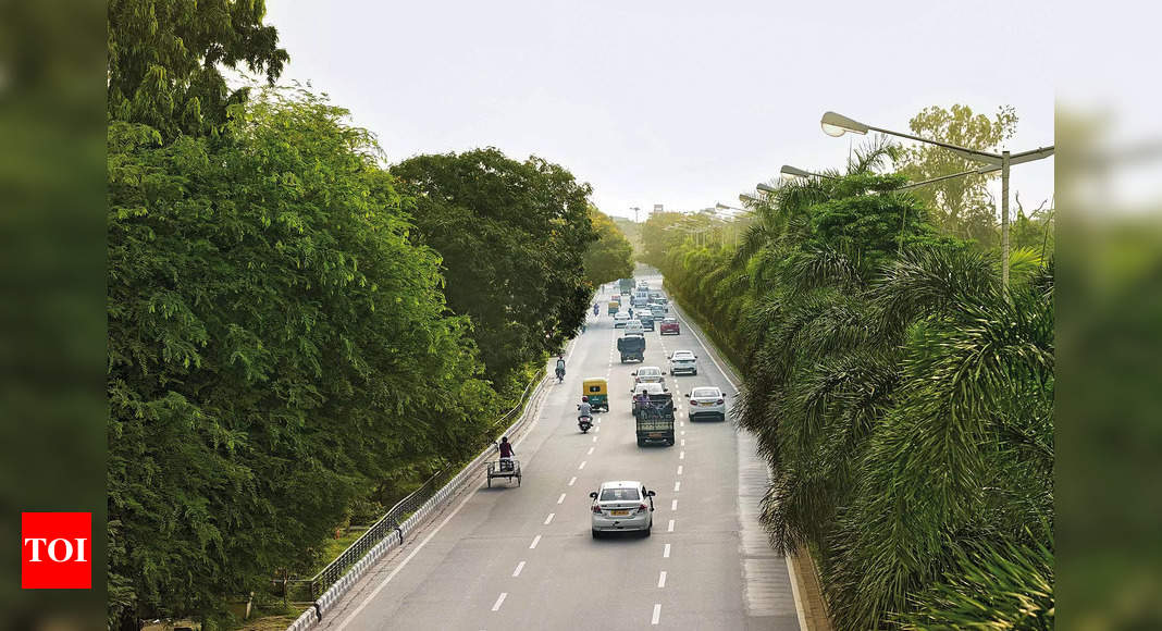 Kolkata needs to celebrate its green cover