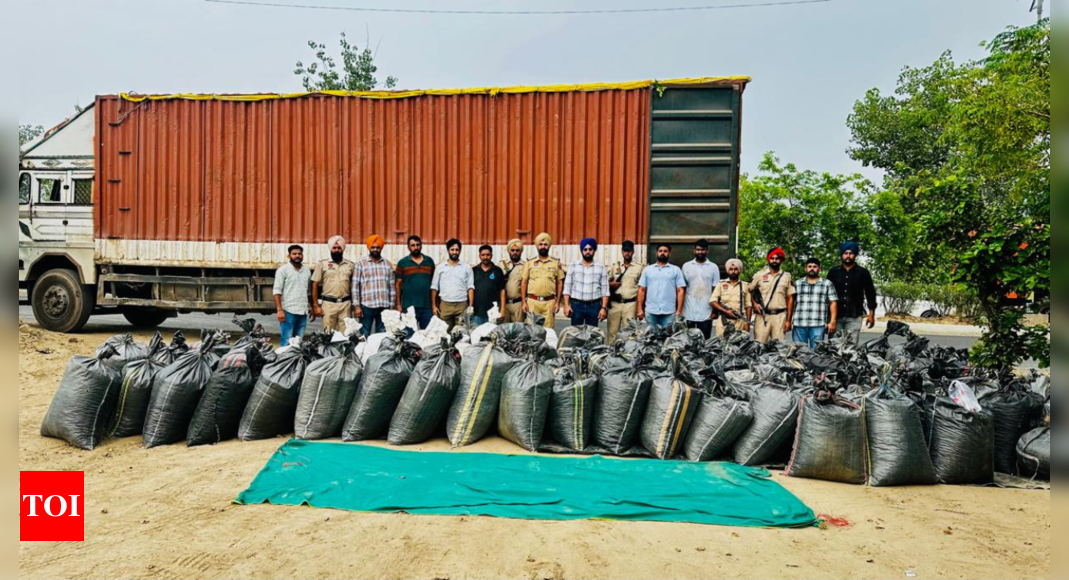 41 quintal poppy husk recovered by CI Bathinda, one held | Amritsar ...