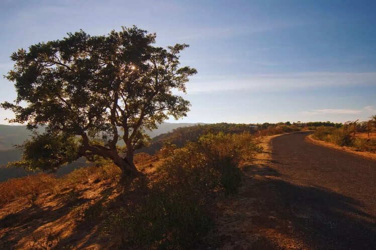 Chikhaldara Wildlife Sanctuary in Amravati