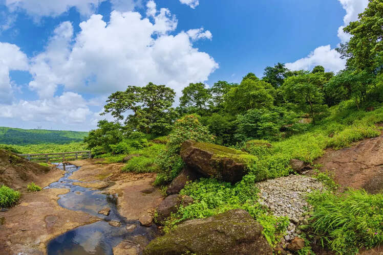 Sanjay Gandhi National Park in Mumbai
