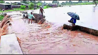 Rain: Heavy Rainfall in South Gujarat Causes Flood-Like Situation ...