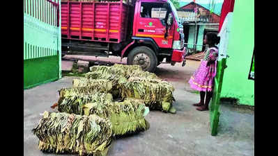 Tribal women in Kandhamal get machines to make sal leaf plates