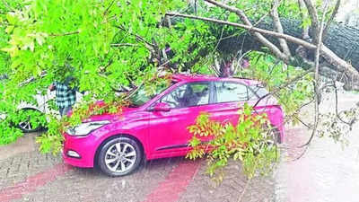 Heavy rain pounds in Kochi; couple hurt, houses damaged