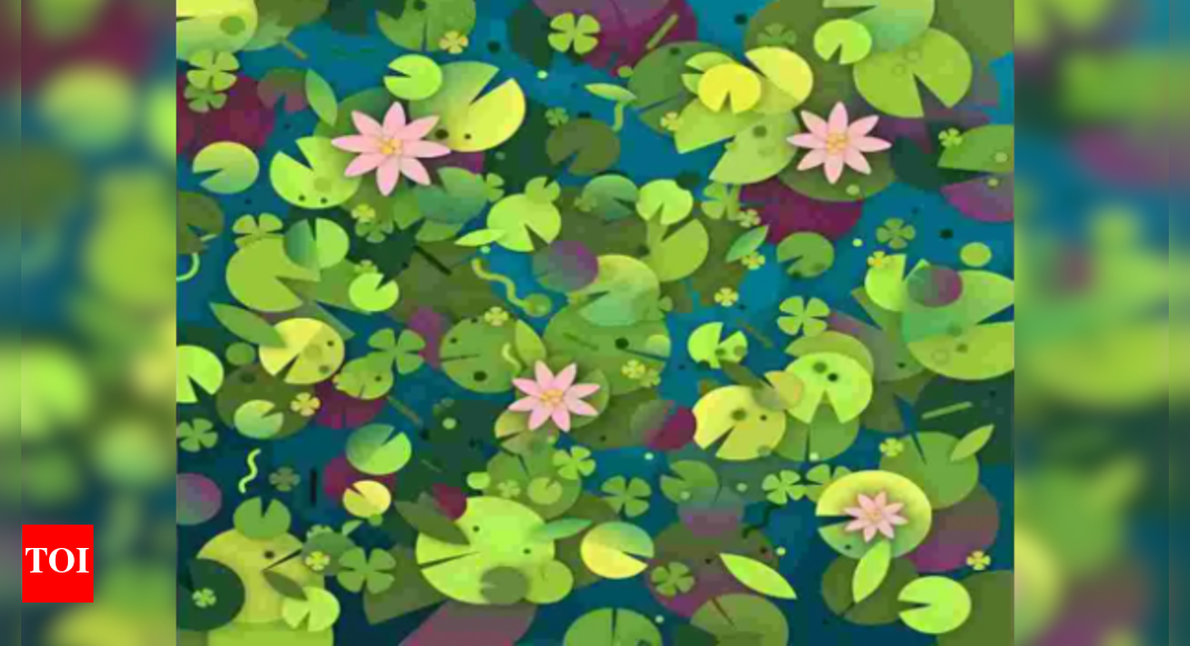 Optical Illusion Challenge: Can you spot the hidden turtle in the pool ...