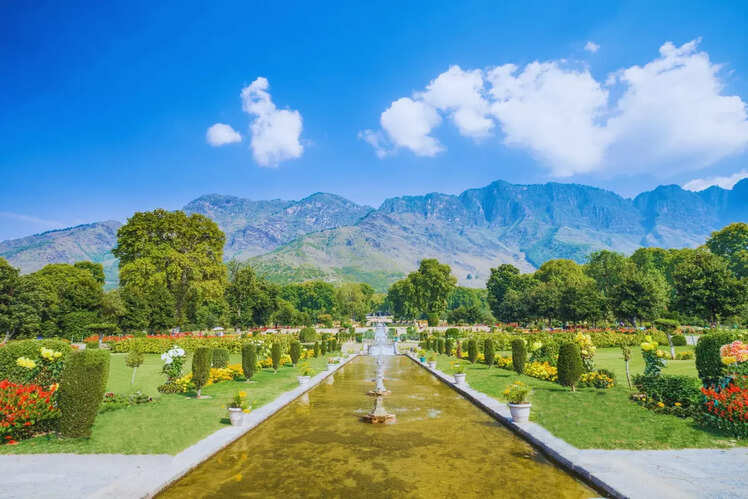 Visit the Mughal Gardens