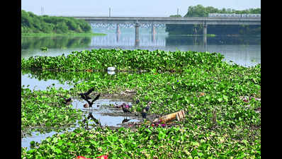 Yamuna Panel: Yamuna Panel Failures Lead to Deterioration of River ...